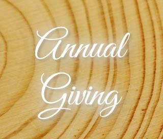annual giving to the phoenixville library