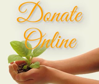 donate online to the phoenixville library