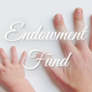 endowment fund phoenixville library